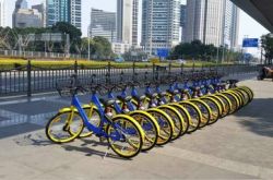 【9分钟科普下】辽阳市工厂咨询热线电话_哔哩哔哩-2